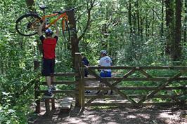 Dillan negotiates the stile with style