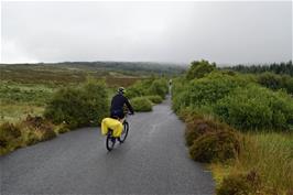 A shrubby cycle path near Kinloch