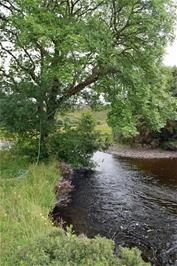 The rope swing at Kerrysdale, scene of great amusement on our 1993 Scotland tour video