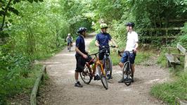 The cycle path from Dartington to Totnes