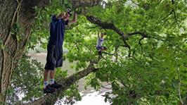 Dillan and George climbing trees over the Dart