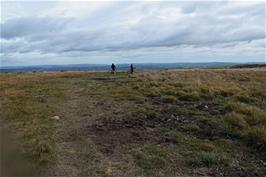 Gripper's Hill, offering spectacular views over the whole of South Devon