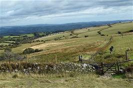 The great descent towards Cross Furzes, at Water Oak Corner