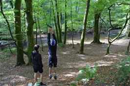 Dillan makes an attempt at grabbing the rope swing