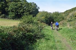 The path opens out near Titcombe Wood