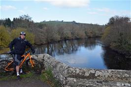 Dillan at Staverton Bridge