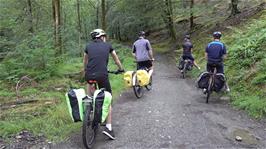 The bridleway through the woods to Tarn Hows