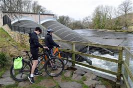 Low water levels at Totnes Weir