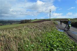 Scenery near Blakemore Cross, Harberton