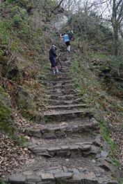 A tricky climb on the Fisherman's Path heading back to Fingle Bridge