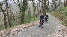 Dillan and Jude in Holne Woods