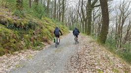 Jude and Dillan riding through Holne Woods