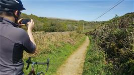 The delightful track from Peter Tavy to the River Tavy, part of cycle route 27