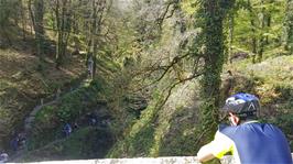 Lydford Gorge