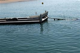 A seal lazes on a platform near Starcross