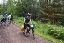 Discovering the first of the Grizedale Forest sculptures