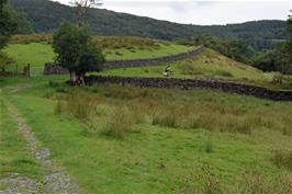 Tao recreates a tranquil scene from our 1991 tour on the bridleway from Grizedale Visitor Centre to Satterthwaite