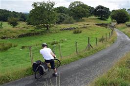 Dillan on the remote and beautiful Croker Lane near High Ickenthwaite