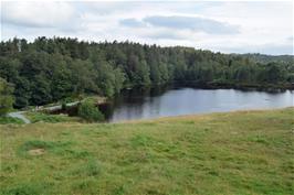 Tarn Hows