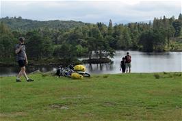 Tao at Tarn Hows