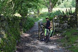 Jude on the rough bridleway from Tarn Hows to High Yewdale