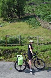 Jude with the sheep on the road to High Tilberthwaite