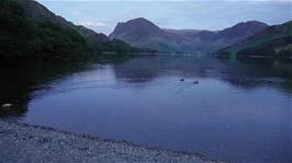 Final view of the Buttermere ducks and pines on our way back to the hostel