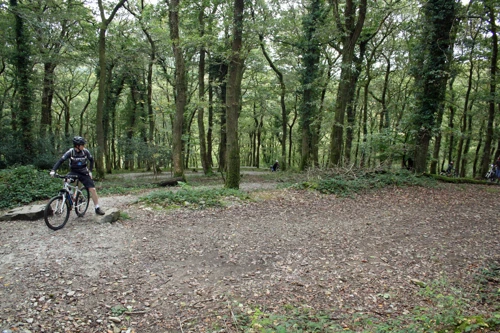 12 Oct 2014 · Plym Valley Trails