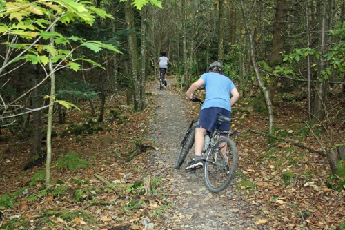 26 Oct 2014 · Haldon Forest Park