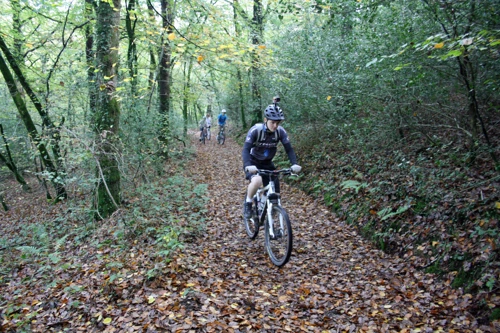 02 Nov 2014 · River Dart Country Park