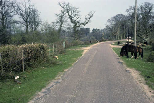 08 Apr 1988 · New Forest & Isle of Wight: Day 3 Burley to Totland Bay