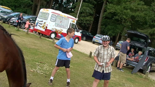 19 Aug 2014 · New Forest and Salisbury: Day 1 Home to Burley