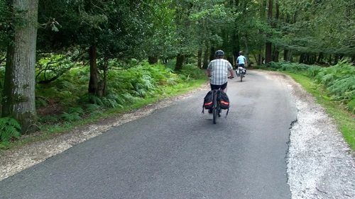 19 Aug 2014 · New Forest and Salisbury: Day 1 Home to Burley
