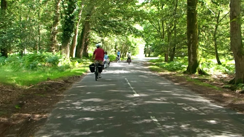19 Aug 2014 · New Forest and Salisbury: Day 1 Home to Burley