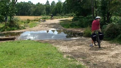 19 Aug 2014 · New Forest and Salisbury: Day 1 Home to Burley