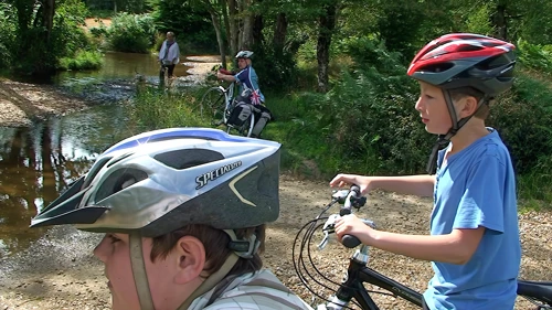 19 Aug 2014 · New Forest and Salisbury: Day 1 Home to Burley