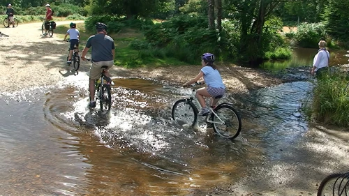 19 Aug 2014 · New Forest and Salisbury: Day 1 Home to Burley