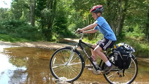 19 Aug 2014 · New Forest and Salisbury: Day 1 Home to Burley
