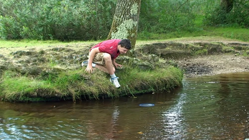 19 Aug 2014 · New Forest and Salisbury: Day 1 Home to Burley
