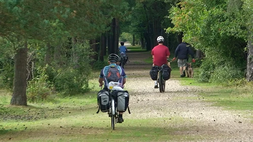 19 Aug 2014 · New Forest and Salisbury: Day 1 Home to Burley