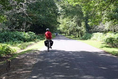 19 Aug 2014 · New Forest and Salisbury: Day 1 Home to Burley