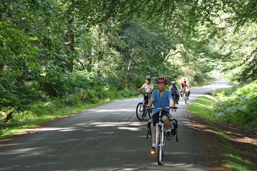 19 Aug 2014 · New Forest and Salisbury: Day 1 Home to Burley