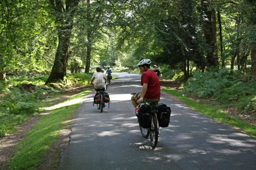 19 Aug 2014 · New Forest and Salisbury: Day 1 Home to Burley