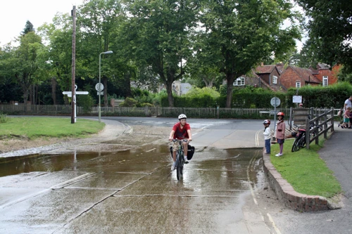 19 Aug 2014 · New Forest and Salisbury: Day 1 Home to Burley