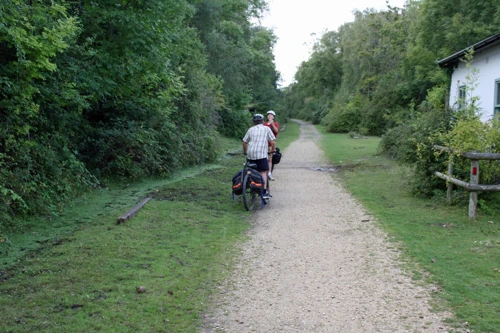19 Aug 2014 · New Forest and Salisbury: Day 1 Home to Burley