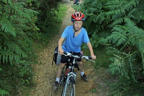 19 Aug 2014 · New Forest and Salisbury: Day 1 Home to Burley