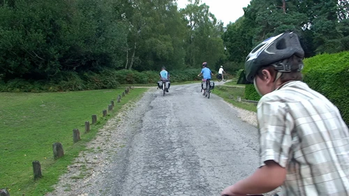 20 Aug 2014 · New Forest and Salisbury: Day 2 Burley to Salisbury