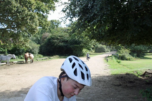 20 Aug 2014 · New Forest and Salisbury: Day 2 Burley to Salisbury