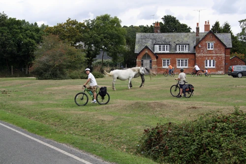20 Aug 2014 · New Forest and Salisbury: Day 2 Burley to Salisbury