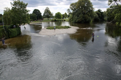 20 Aug 2014 · New Forest and Salisbury: Day 2 Burley to Salisbury